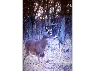 Property photo 25 - LAND AUCTION - 138+/- ACRES OFFERED IN 3 TRACTS IN SPENCER COUNTY, INDIANA